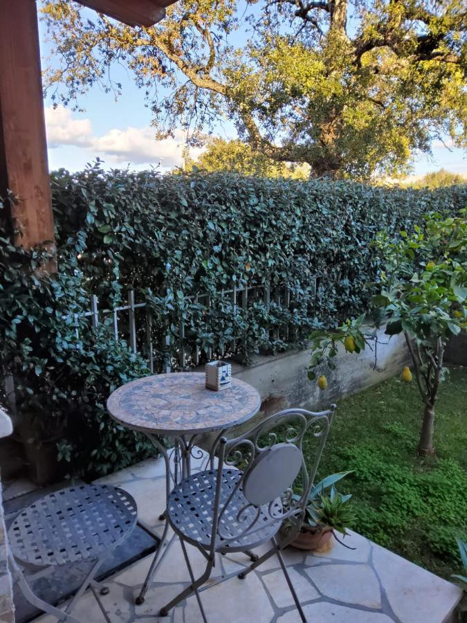 Lulamax Sardegna Olbia Exterior foto
